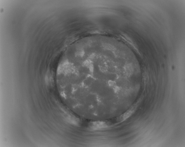 X0000070250265200606232015