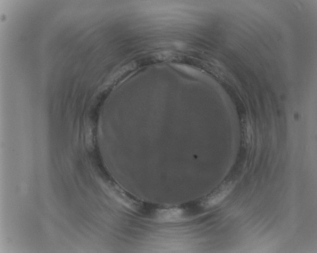 X0000070250266200606232015