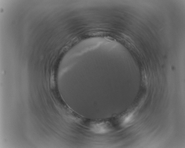 X0000070250267200606232015