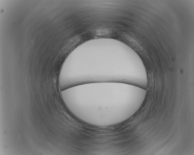 X0000070250269200606232015