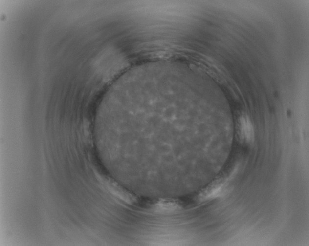 X0000070250270200606232015