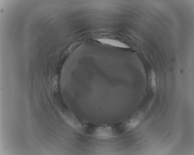 X0000070250271200606232015