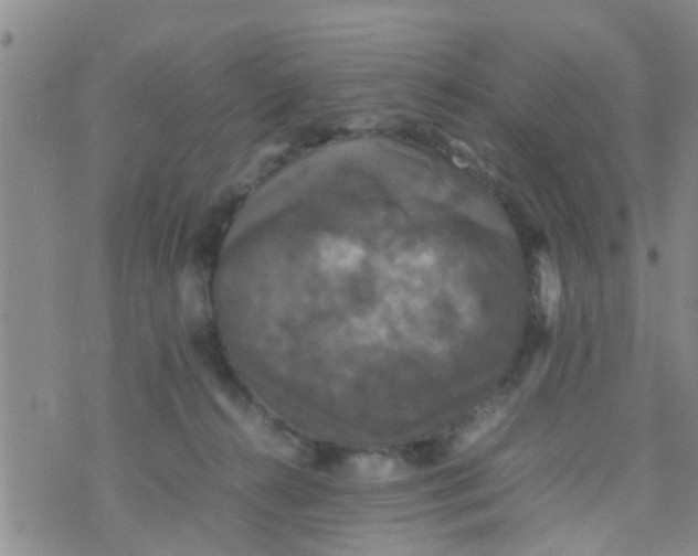 X0000070250272200606232015