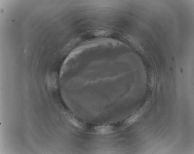 X0000070250273200606232015