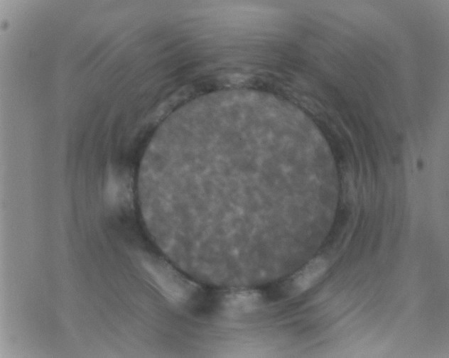 X0000070250274200606232015