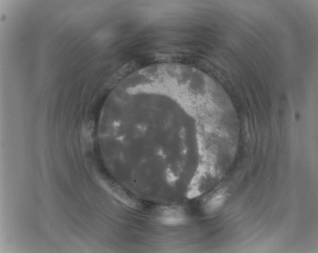 X0000070250275200606232015