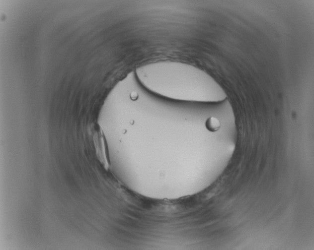 X0000070250276200606232015