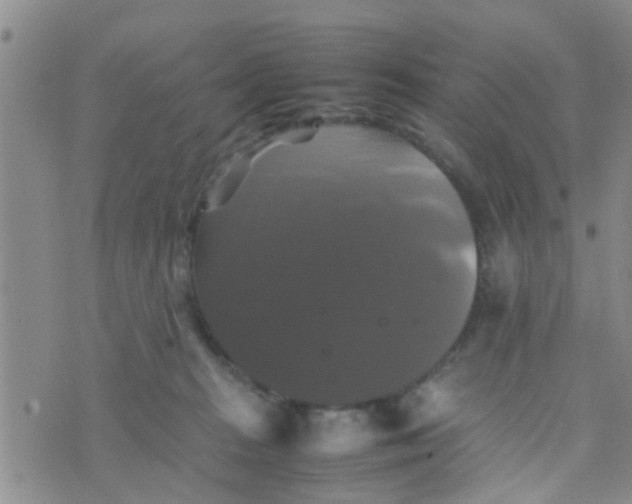 X0000070250277200606232015