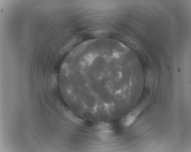 X0000070250278200606232015