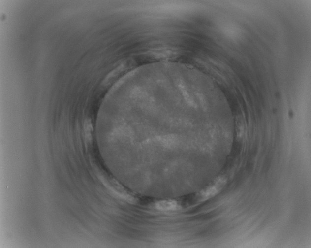 X0000070250279200606232015