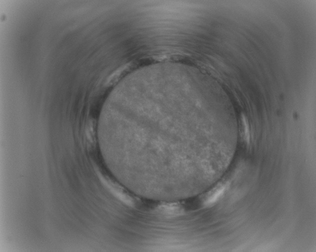 X0000070250280200606232015