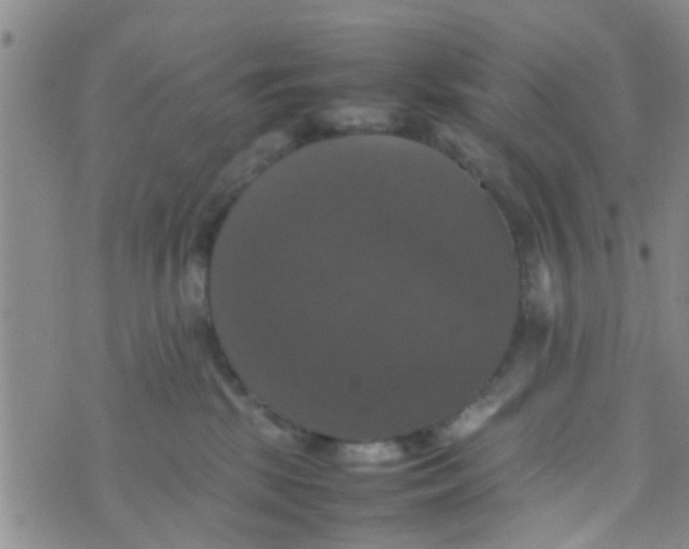 X0000070250281200606232015