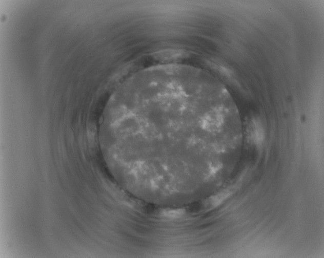 X0000070250283200606232015