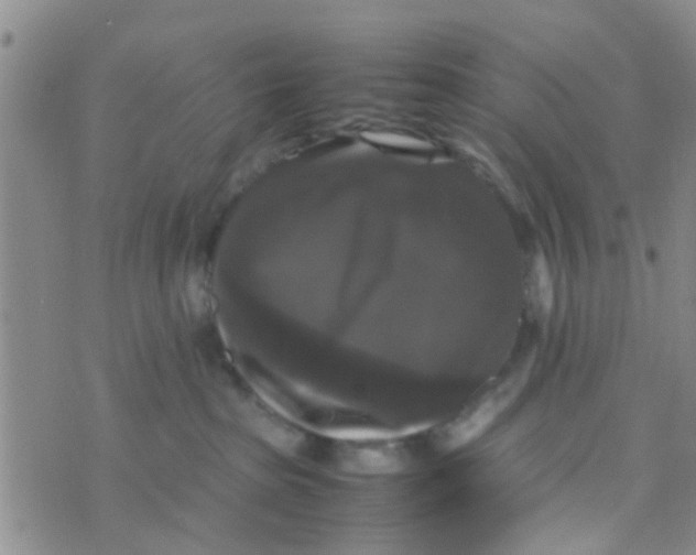 X0000070250285200606232015