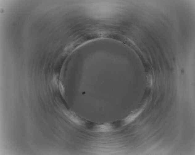 X0000070250286200606232015