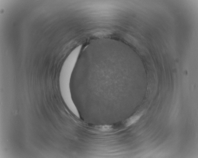 X0000070250288200606232015