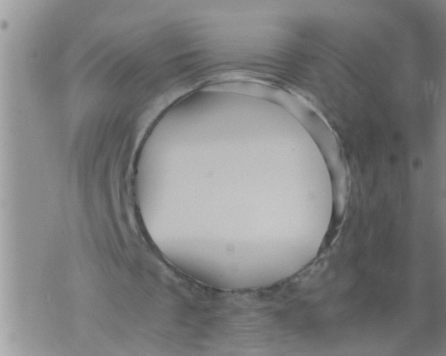 X0000070250289200606232015