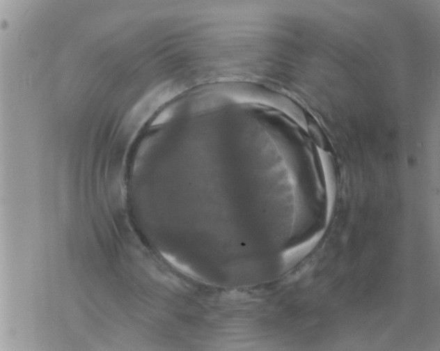 X0000070250290200606232015