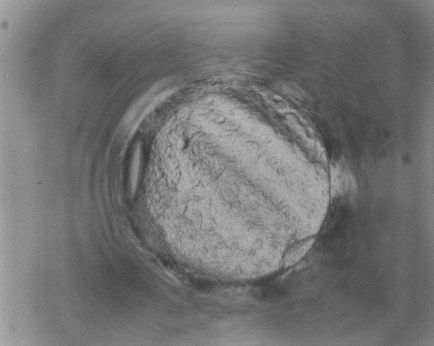 X0000070250291200606232015