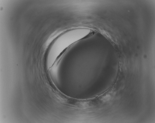 X0000070250295200606232015