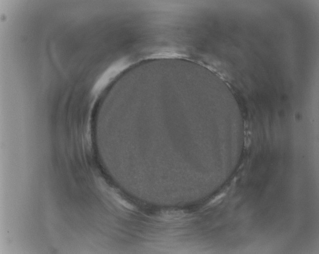 X0000070250296200606232014