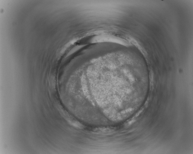 X0000070250297200606232014