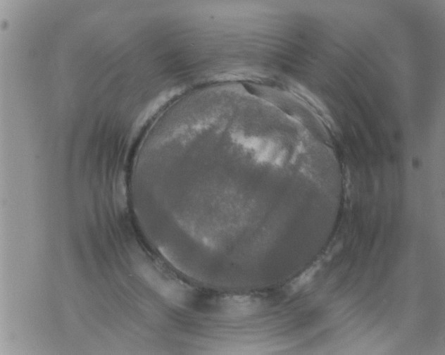 X0000070250298200606232014