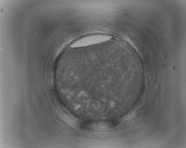 X0000070250299200606232014