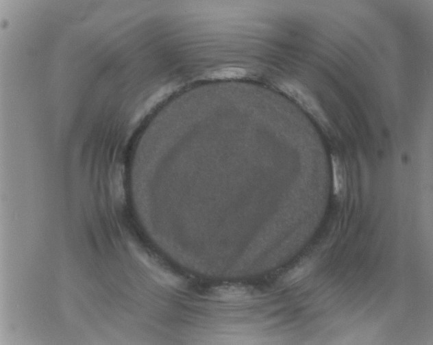 X0000070250300200606232014