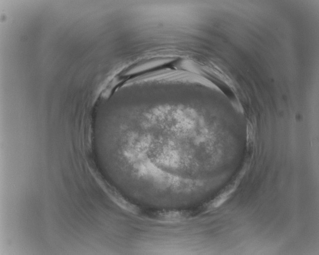 X0000070250301200606232014