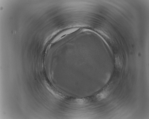 X0000070250302200606232014