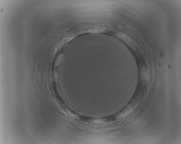 X0000070250303200606232014