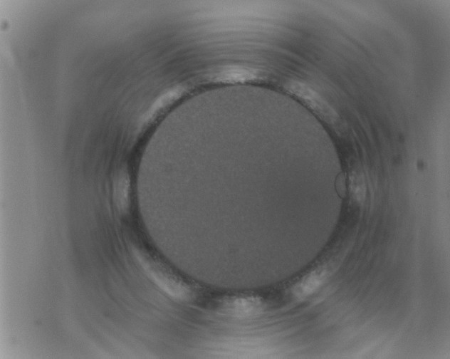 X0000070250304200606232014