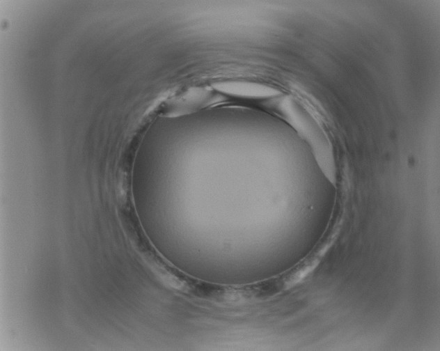 X0000070250305200606232014