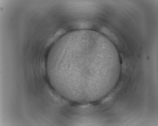 X0000070250306200606232014