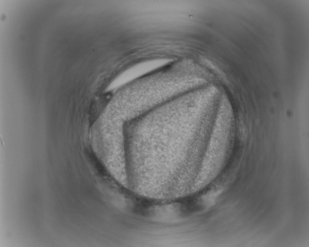 X0000070250307200606232014