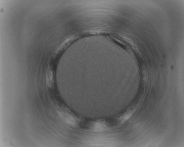 X0000070250308200606232014