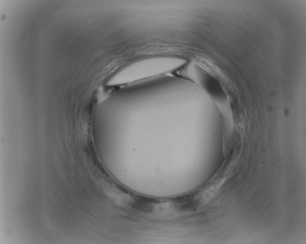 X0000070250309200606232014