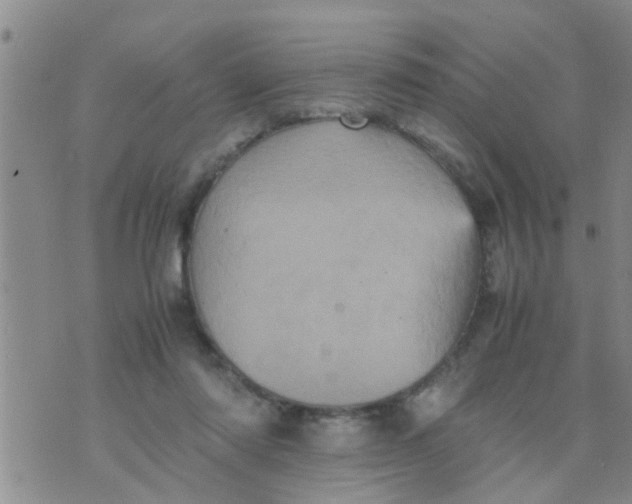 X0000070250310200606232014