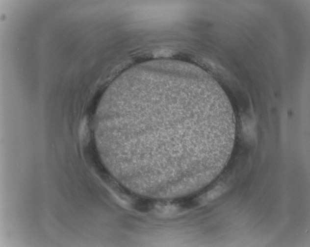 X0000070250311200606232014