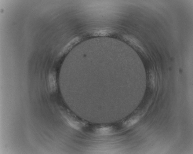 X0000070250312200606232014