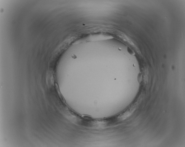 X0000070250313200606232014