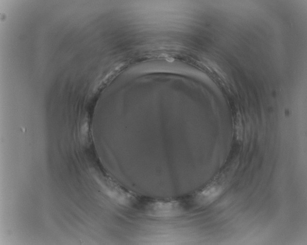 X0000070250314200606232014