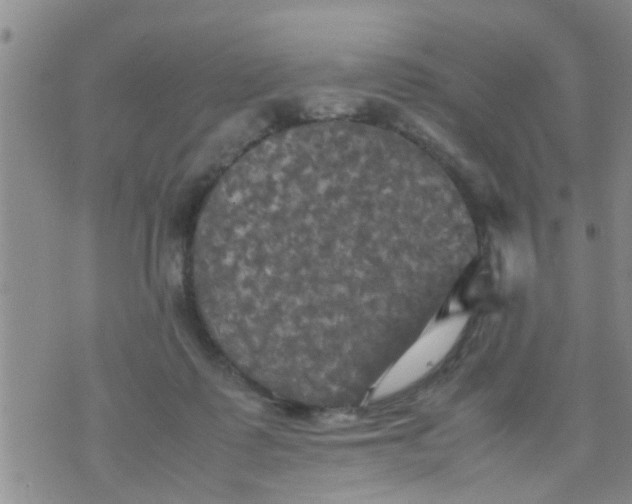 X0000070250315200606232014