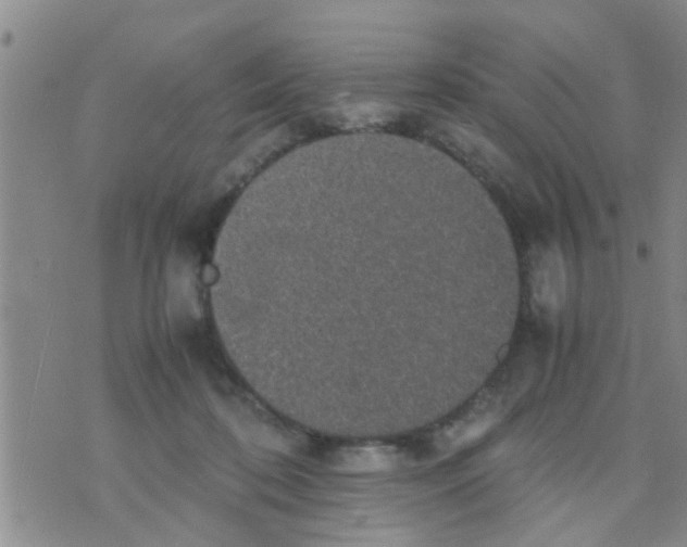 X0000070250316200606232014