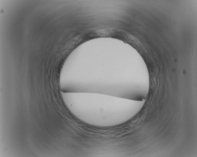 X0000070250317200606232014