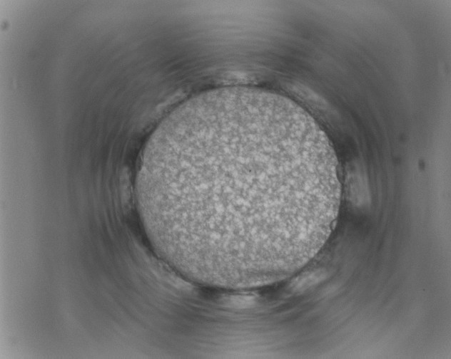 X0000070250318200606232014