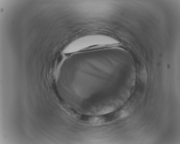 X0000070250319200606232014