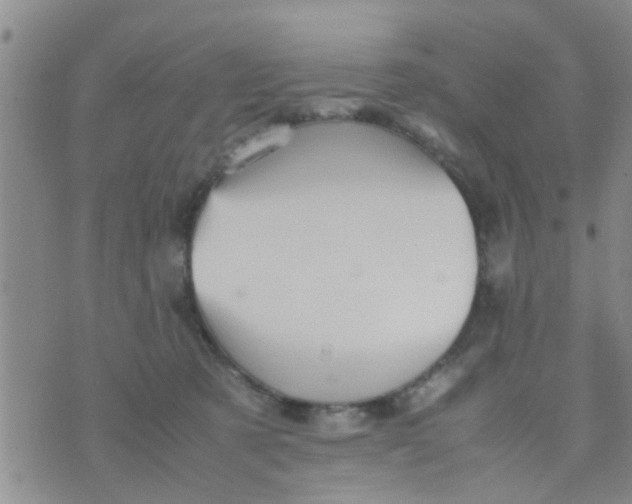 X0000070250321200606232014