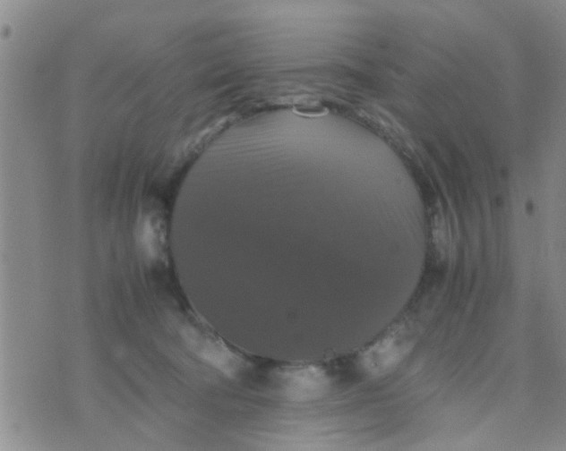 X0000070250322200606232014